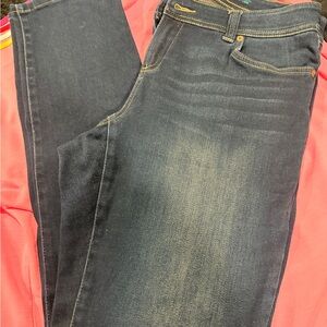 Inc Denim Jeans Skinny Leg Curvy Fit 10 Long
